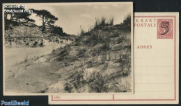 Netherlands 1946 Postcard 5c On 7.5c, Landscape No. 4, Hoenderloo, Unused Postal Stationary - Cartas & Documentos