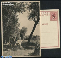 Netherlands 1946 Postcard 5c On 7.5c, Landscape No. 6, Haaren, Unused Postal Stationary - Storia Postale