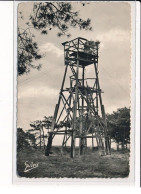 Dans La Forêt De POINTE DE GRAVE, Un Pylone De Chasse à La Tourterelle - Très Bon état - Sonstige & Ohne Zuordnung