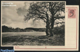 Netherlands 1946 Postcard 5c On 7.5c, Landscape No. 8, Ommen, Unused Postal Stationary - Cartas & Documentos
