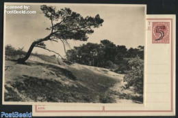 Netherlands 1946 Postcard 5c On 7.5c, Landscape No. 10, Vogelenzang, Unused Postal Stationary - Storia Postale