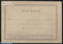 Netherlands 1871 Postcard Lilac Or Violet Without Printed Stamp, Unused Postal Stationary - Brieven En Documenten