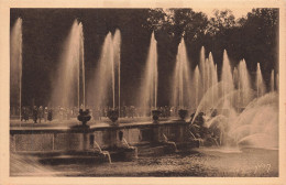 78-VERSAILLES LES GRANDES EAUX-N°T5319-B/0125 - Versailles (Castillo)