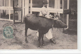 NOGENT SUR MARNE - Jardin Colonial - Race N'Dama (Fouta Djalon) - Très Bon état - Nogent Sur Marne