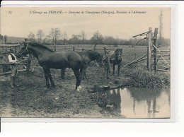 L'Elevage Au PERCHE : Domaine Du Champeaux, Poulains à L'Abreuvoir - Très Bon état - Other & Unclassified