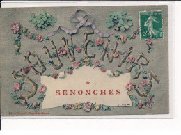 SENONCHES : Carte Souvenir - Très Bon état - Otros & Sin Clasificación