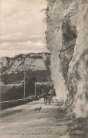 01-GORGES DE L ALBARINE-N°T5319-E/0085 - Sin Clasificación