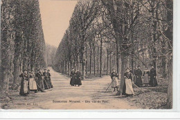 Sanatorium Minoret - Une Vue Du Parc - Très Bon état - Autres & Non Classés