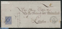 Netherlands 1883 Letter With Langstempel Balkbrug, Postal History - Covers & Documents