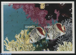 Ghana 1997 Chaetodon Paucifasciatus S/s, Mint NH, Nature - Fish - Vissen