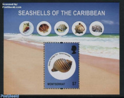 Montserrat 2010 Shells S/s, Mint NH, Nature - Shells & Crustaceans - Mundo Aquatico