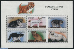 Barbuda 2000 Cats 6v M/s, Mint NH, Nature - Cats - Barbuda (...-1981)