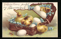 AK Fröhliche Ostern, Osterküken Mit Vergissmeinnicht Im Koffer  - Easter