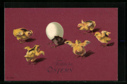 AK Fünf Frisch Geschlüpfte Osterküken Beobachten Ein Kleines Küken Beim Schlüpfen  - Pasen