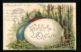AK Osterhase Und Ostereier Im Wald  - Easter