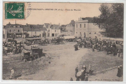 CHATEAUNEUF-SUR-SARTHE : Place Du Marché - Très Bon état - Chateauneuf Sur Sarthe