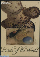 Saint Vincent & The Grenadines 2011 Birds S/s, Mint NH, Nature - Birds - St.Vincent & Grenadines