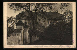 AK Altdorf, Amtsgericht, Ehem. Nürnberger Pfleger Schloss  - Nürnberg