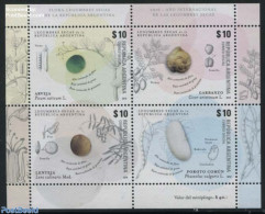 Argentina 2016 International Year Of Legumes S/s, Mint NH, Health - Food & Drink - Nuovi