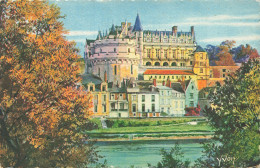 37-AMBOISE-N°T5321-B/0211 - Amboise