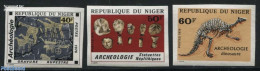 Niger 1976 Archeology 3v, Imperforated, Mint NH, History - Nature - Archaeology - Prehistoric Animals - Art - Cave Pai.. - Archeologia