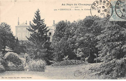 CHOUILLY - Saran, Le Château Et Le Parc - Très Bon état - Otros & Sin Clasificación
