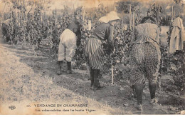 VENDANGES EN CHAMPAGNE - Les Robes Culottes Dans Les Hautes Vignes - Très Bon état - Other & Unclassified