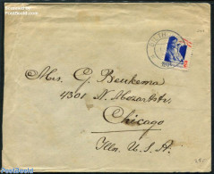 Netherlands 1931 Cover With NVPH No. 243, Postal History, Health - Disabled Persons - Storia Postale