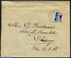 Netherlands 1931 Cover With NVPH No. 243, Postal History, Health - Disabled Persons - Cartas & Documentos