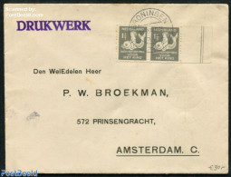 Netherlands 1929 A Pair Of Nvph. R82, Syncopated Perforations. Cover To Amsterdam, Postal History - Cartas & Documentos