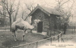 75-PARIS-JARDIN DES PLANTES-N°T5322-E/0087 - Parques, Jardines