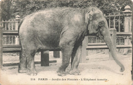 75-PARIS-JARDIN DES PLANTES-N°T5322-D/0377 - Parken, Tuinen