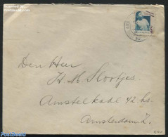 Netherlands 1931 Cover To Amsterdam, Postal History, Health - Disabled Persons - Storia Postale