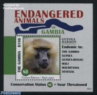 Gambia 2013 Guinea Baboon S/s, Mint NH - Gambie (...-1964)