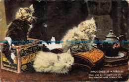 R113321 Innocence Is A Virtue. Kittens. Schwerdtfeger - Monde