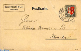 Switzerland 1920 Postale From Sargans, Postal History - Covers & Documents