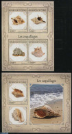 Guinea, Republic 2017 Shells 2 S/s, Mint NH, Nature - Shells & Crustaceans - Maritiem Leven