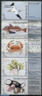 Netherlands 2017 Life In The North Sea 5v+tabs, Mint NH, Nature - Birds - Fish - Shells & Crustaceans - Crabs And Lobs.. - Ongebruikt