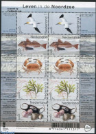Netherlands 2017 Life In The North Sea M/s (with 2 Sets), Mint NH, Nature - Birds - Fish - Shells & Crustaceans - Crab.. - Unused Stamps