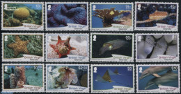 Virgin Islands 2017 Definitives, Marine Life 12v, Mint NH, Nature - Fish - Sea Mammals - Shells & Crustaceans - Fishes