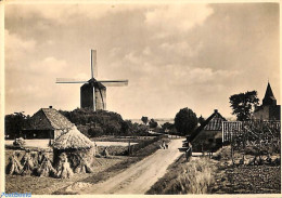 Netherlands 1946 Postcard 5c On 7.5c, Molenserie No. 4, Zeddam, Unused Postal Stationary, Mills (Wind & Water) - Cartas & Documentos
