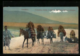 AK Tiflis, Wanderer Mit Pferd Und Esel In Der Wüste  - Georgia