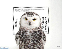 Antigua & Barbuda 2017 Snowy Owl S/s, Mint NH, Nature - Birds - Birds Of Prey - Owls - Antigua En Barbuda (1981-...)