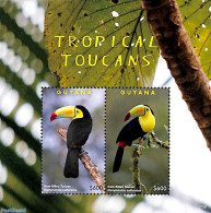 Guyana 2017 Tropical Toucans 2v M/s, Mint NH, Nature - Birds - Guiana (1966-...)