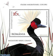 Romania 2018 Migrating Birds S/s, Mint NH, Nature - Birds - Ungebraucht