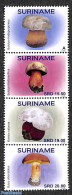 Suriname, Republic 2018 Mushrooms 4v [:::], Mint NH, Nature - Mushrooms - Pilze