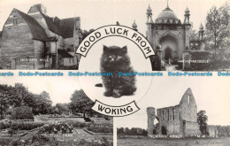 R113406 Good Luck From Woking. Multi View. Valentine. RP - Welt