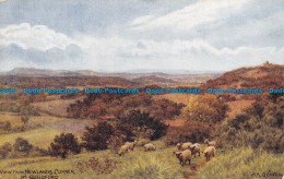 R113823 View From Newlands Corner. Nr. Guildford. Salmon. 1936 - Welt