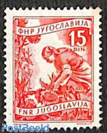 Yugoslavia 1951 Stamp Out Of Set, Unused (hinged), Nature - Flowers & Plants - Unused Stamps