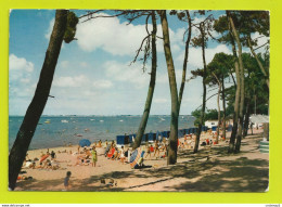 17 RONCE LES BAINS Vers La Tremblade N°440 La Plage De La Cèpe Baignade Cabines VOIR DOS Et Flamme En 1977 - La Tremblade